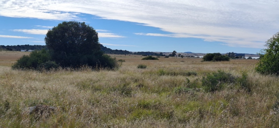 Commercial Property for Sale in Bloemfontein Rural Free State